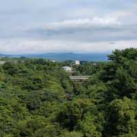 🇰🇷 Seonim Bridge: A Scenic Archway for Photos and Tranquility
