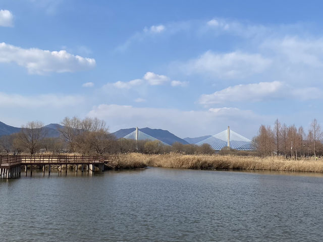 부산 화명생태공원 산책 코스 추천🌿