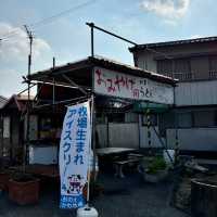 🇯🇵【香川県】うどん旅にはココ！シンプルなメニュー！がもうどん(^^)