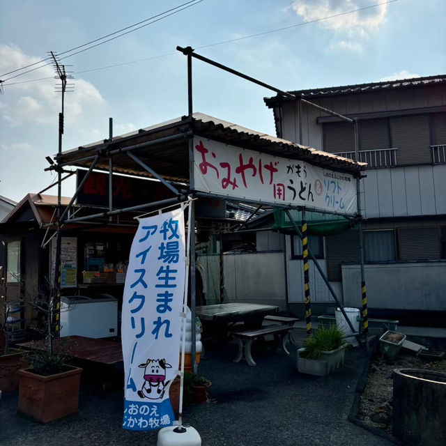 🇯🇵【香川県】うどん旅にはココ！シンプルなメニュー！がもうどん(^^)