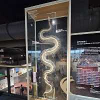 【台北】定期推出不同主題的科學特展，每次展覽都極具教育與娛樂性。