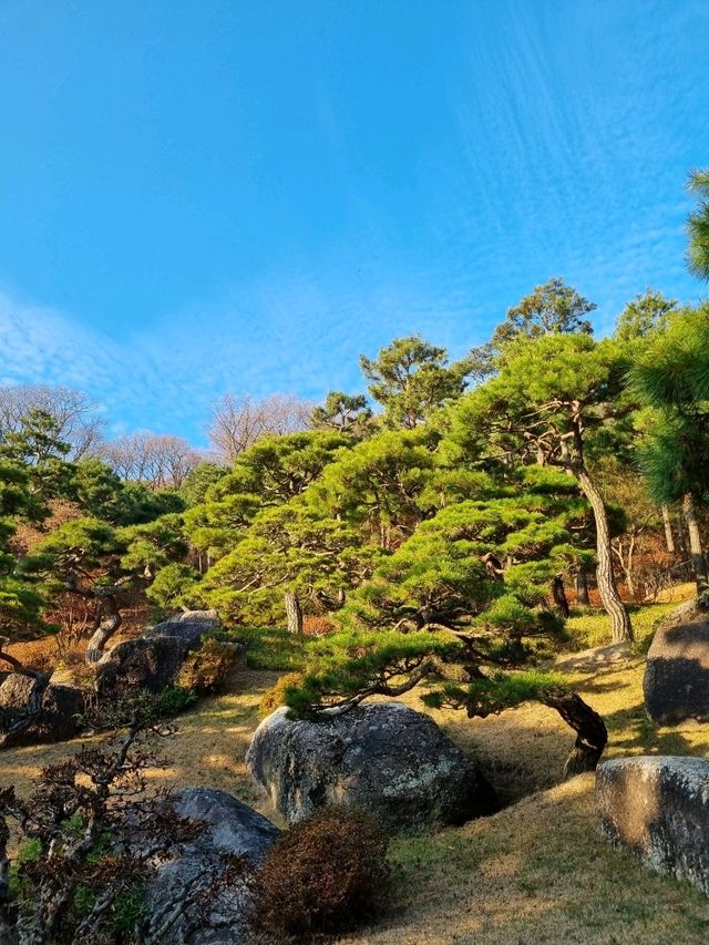 가을이 되면 이숲은 꼭 가보시길🍂🍁