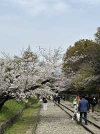 京都蹴上鐵道的浪漫邂逅💕🌸