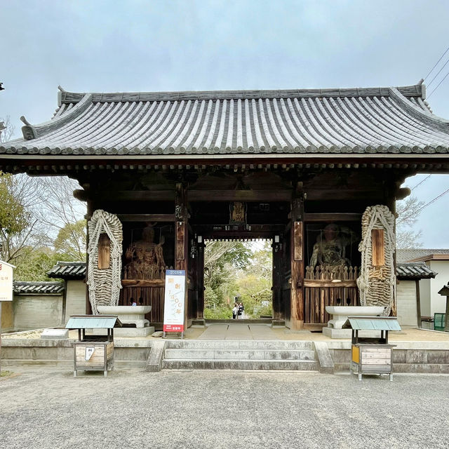 🇯🇵【香川県】四国八十八ヶ所霊場 第86番札所 志度寺