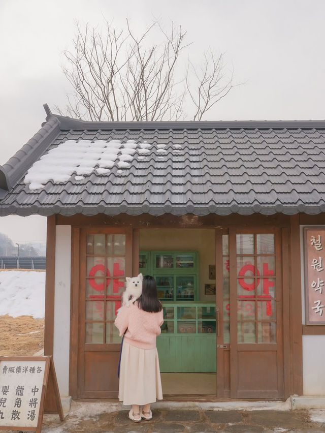 분단의 아픔과 역사, 철원의 아름다운 자연 그리고 우리집 강아지가 함께한🤎