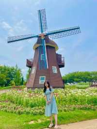 한국판 네덜란드🌷💐