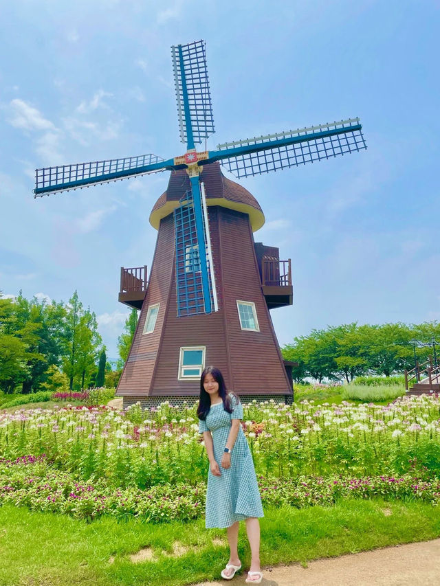 한국판 네덜란드🌷💐