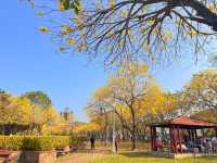 廍子公園