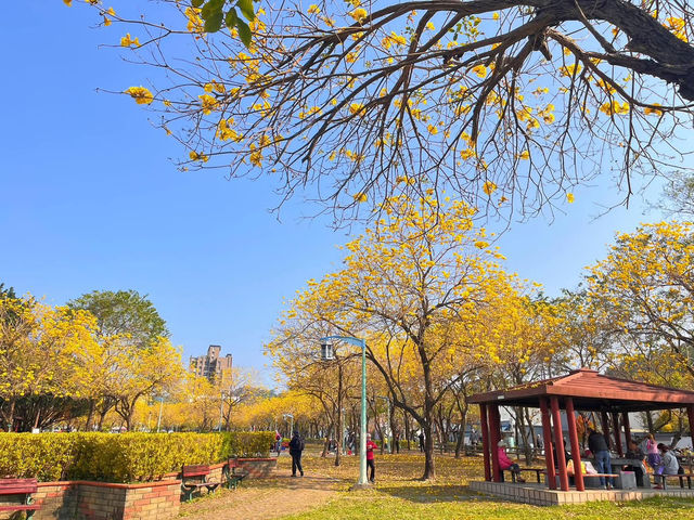 廍子公園