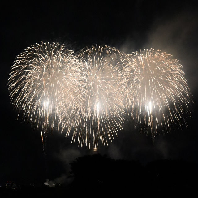 感動の『長岡花火大会』