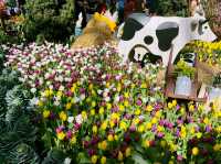 A Magical Experience at the Gardens by the Bay Flower Festival