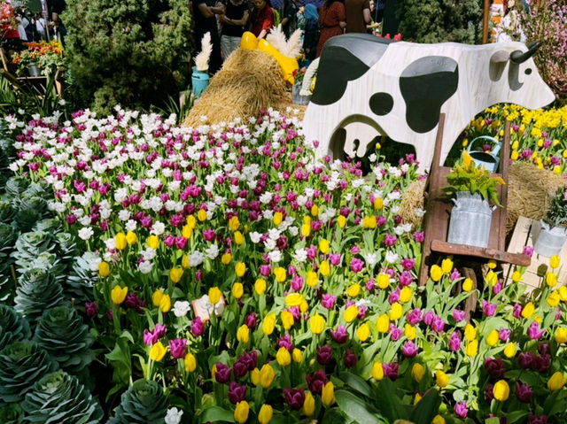 A Magical Experience at the Gardens by the Bay Flower Festival