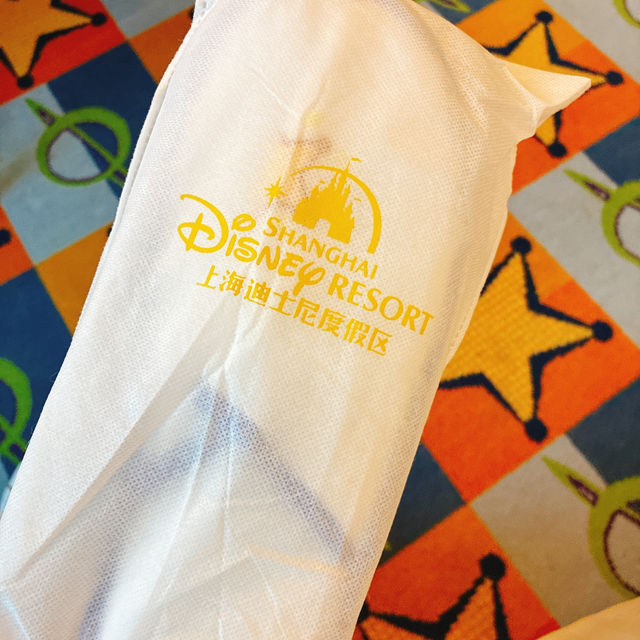 TOY STORY HOTEL 