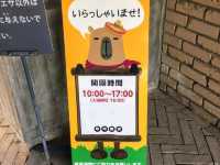 來 “長崎Bio Park” 生物園找水豚君玩耍！