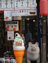 🇯🇵 Strolling Through Tradition: The Charm of Kamakura's Komachi Street