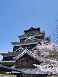 【広島】行かなきゃ損‼️桜と城のコラボが美しすぎ✨