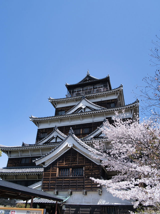 【広島】行かなきゃ損‼️桜と城のコラボが美しすぎ✨