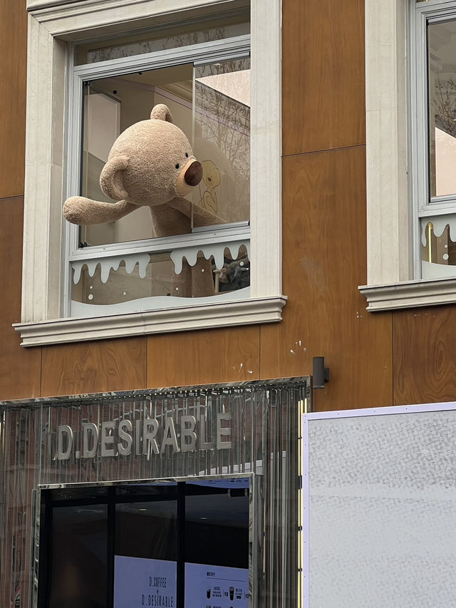 Bear Hugs in a Cup: The Whimsical World of 13DE MARZO Café🐻