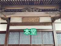 知多の旅　美しい木蓮が見ごろの醒悟院