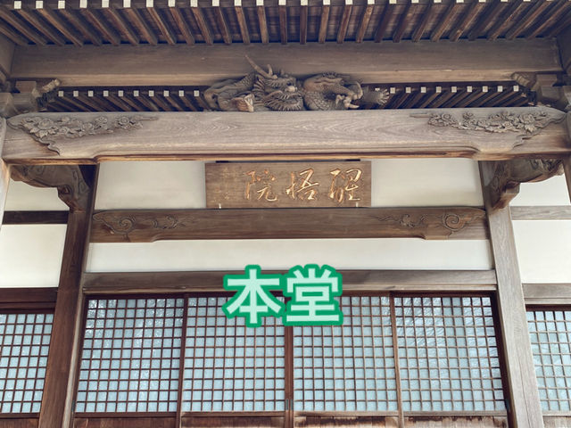 知多の旅　美しい木蓮が見ごろの醒悟院