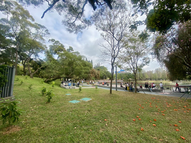 深圳清新自然美地✨四海公園 🌸🌿