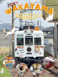 เที่ยว 1 Day ไปนั่งรถไฟหานายสถานีแมวที่วาคายะมะ