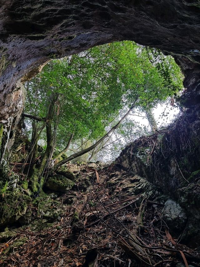 Hiking in Arenas de Cabrales, Asturias 🏔️🌿🦇