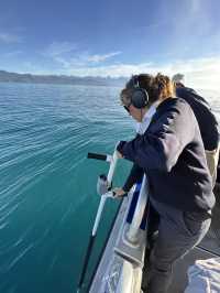 🇳🇿Kaikoura: A Paradise for Whale Watchers and Nature Lovers