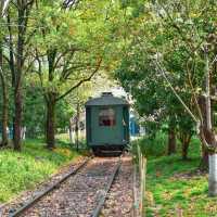 แวะไปถ่ายรูปสวยๆสวนรถไฟกับซากุระสีชมพูน่ารัก 