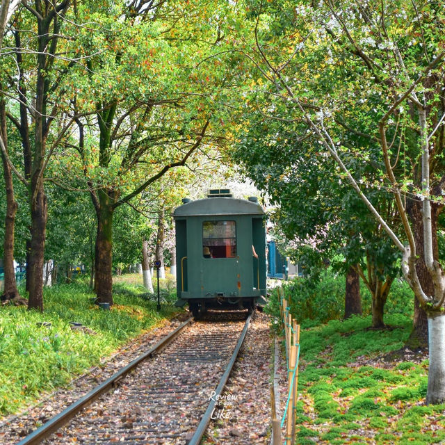 แวะไปถ่ายรูปสวยๆสวนรถไฟกับซากุระสีชมพูน่ารัก 