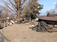 日本群馬自由行 伊香保綠色牧場