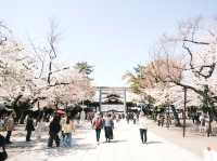 【東京】今が見頃！桜スポット