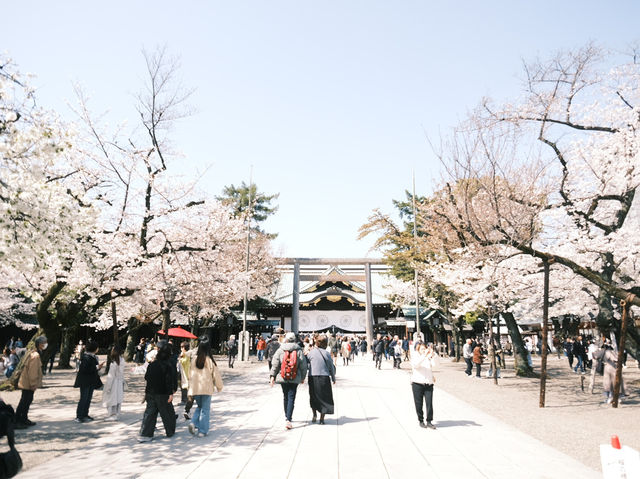 【東京】今が見頃！桜スポット