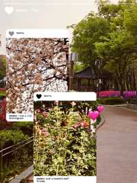 Cheonho-dong Park: Your Local Green Heart for Spring Exploration