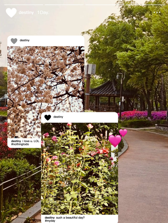 Cheonho-dong Park: Your Local Green Heart for Spring Exploration