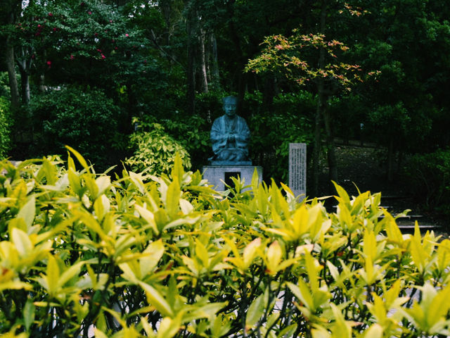 堺が誇る茶人のルーツをたどる⛩🍵