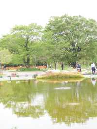 【愛知×フラワーパーク江南】四季折々の花々が楽しめる公園