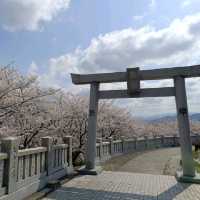 遊四國島香川縣：伊勢朝日山本宮