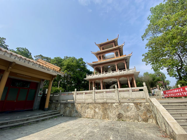 感受大自然的魅力⛰️✨鳳凰山森林公園🧗 
