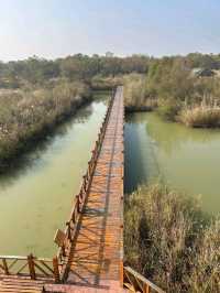 Yellow River Estuary Ecotourism Area – Gateway to China’s Mother River