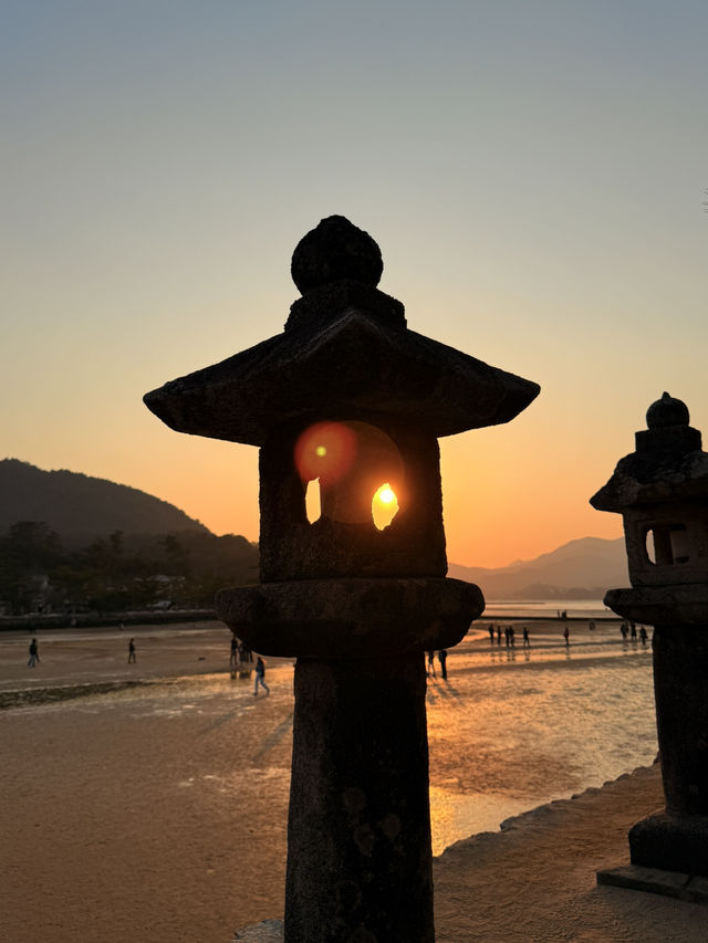 廣島｜嚴禁餵食的宮島鹿 原來是游過來的原住民