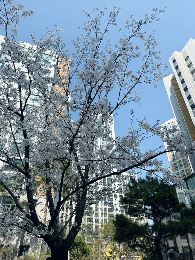 야외 데이트 하기 좋은 곳 추천드려요!