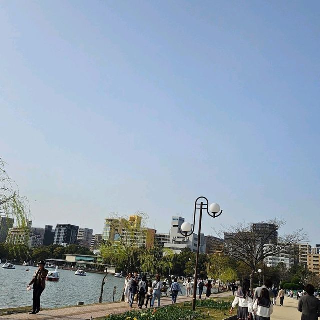 후쿠오카 초보자 여행 공략 가이드!