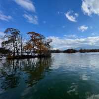 【大沼公園】函館から30分の大自然🍃
