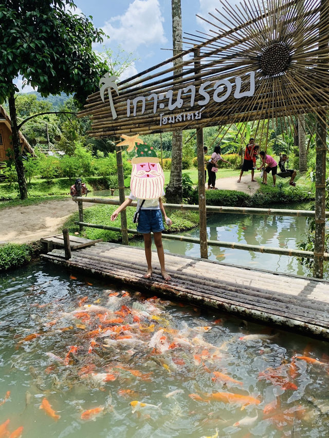 แวะให้อาหารปลาคาร์ฟสุดคิวท์ @เกาะนารอบ โฮมสเตย์
