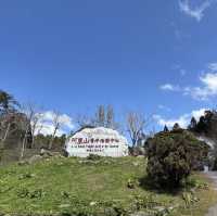 阿里山青年活動中心 Alishan Youth Activity Center