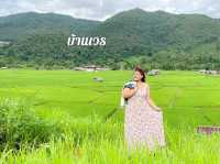 สายเขียวต้องเลี้ยวเที่ยวน่าน