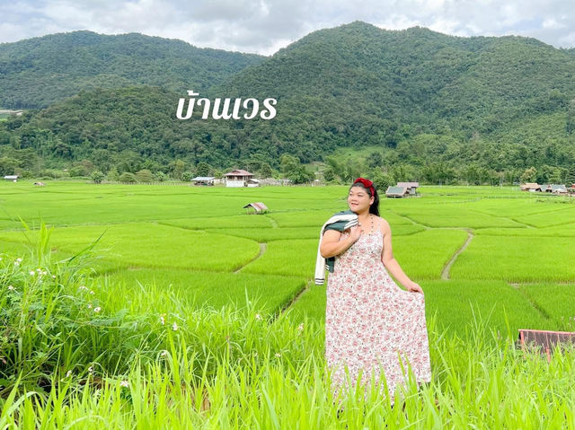 สายเขียวต้องเลี้ยวเที่ยวน่าน