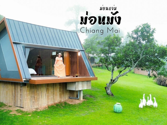 ม่อนม้ง โฮมสเตย์ สวนส้มแห่งม่อนแจ่ม