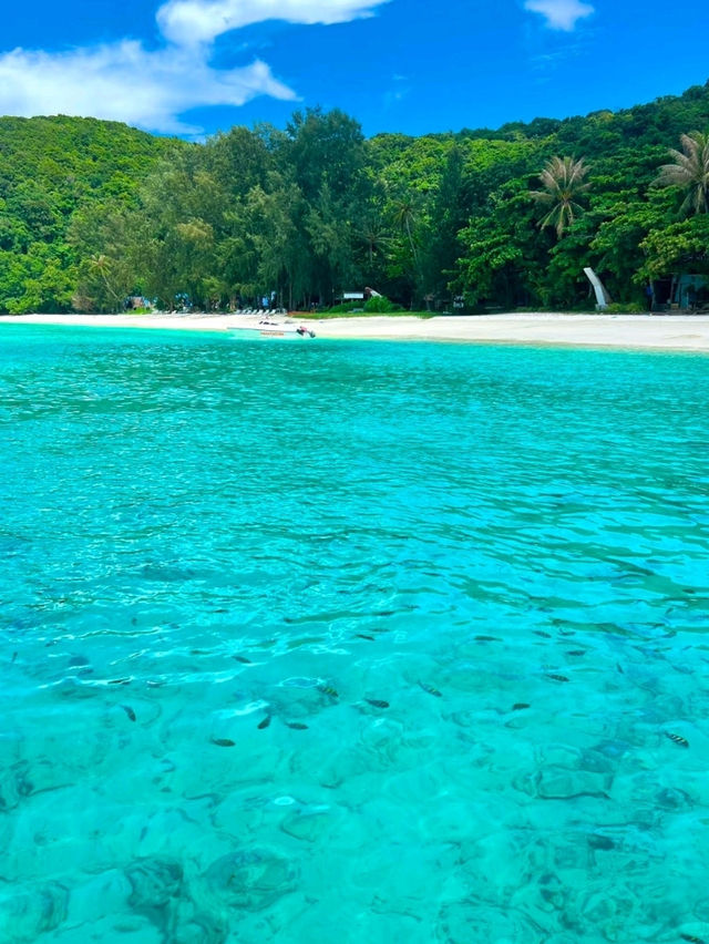 Phuket Paradise: Where the Sea Breeze Washes Your Worries Away